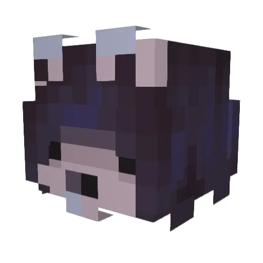Shxd3 Minecraft avatar head, 3D render