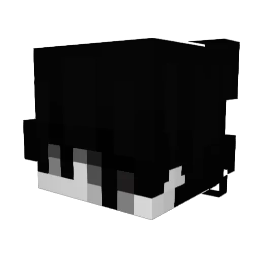 Shxdow_prxnce Minecraft avatar head, 3D render