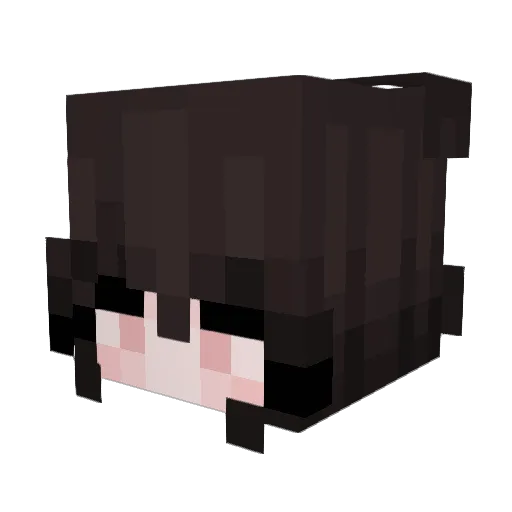 Shxll_ Minecraft avatar head, 3D render