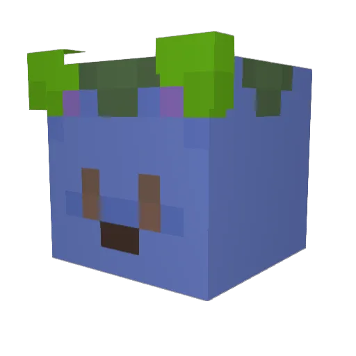 Shxnnonn Minecraft avatar head, 3D render