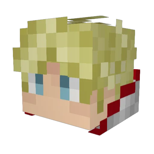 Shy1219 Minecraft avatar head, 3D render