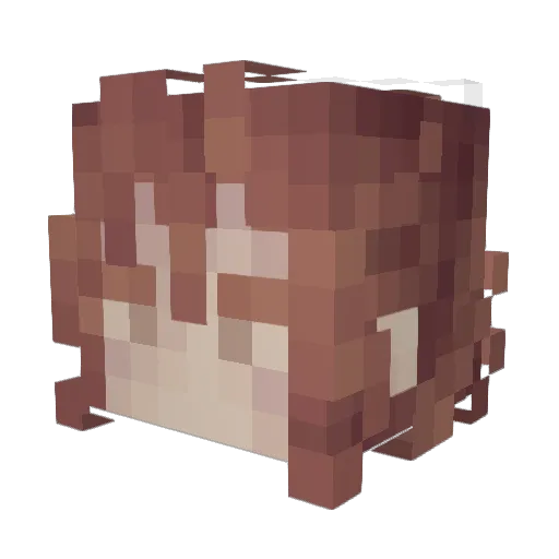 ShyBulbmin Minecraft avatar head, 3D render