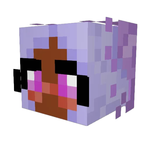 ShyEliteJR Minecraft avatar head, 3D render