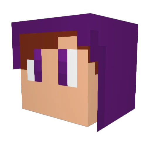 ShyFly242 Minecraft avatar head, 3D render