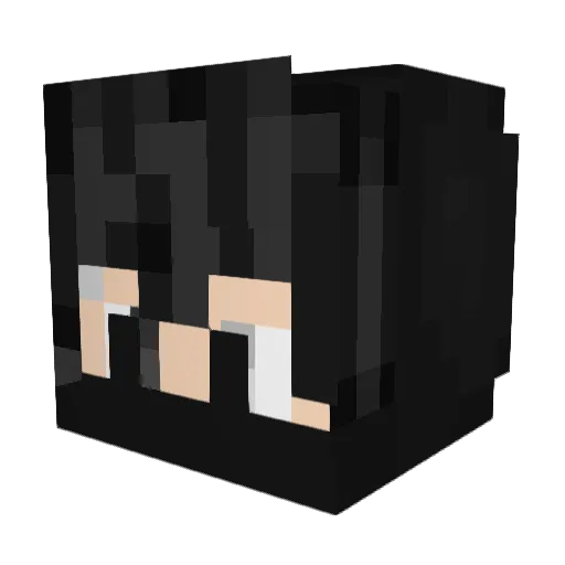 ShyGaymer48 Minecraft avatar head, 3D render