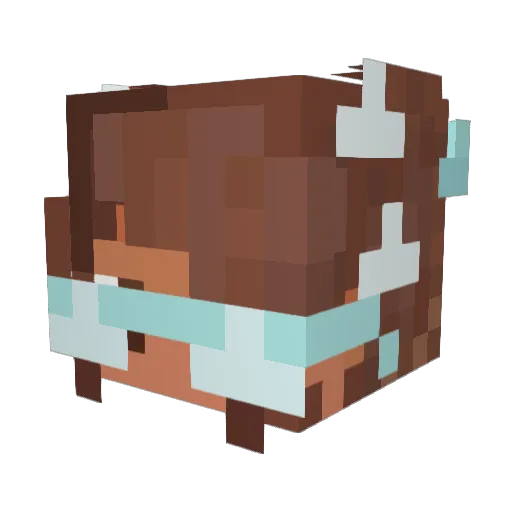 ShyGil Minecraft avatar head, 3D render