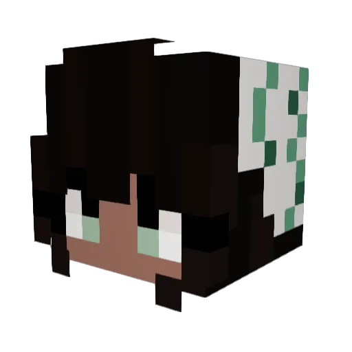 ShyGuineaPig Minecraft avatar head, 3D render