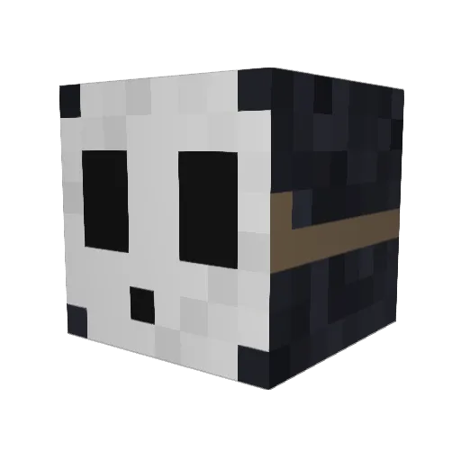 ShyGuy211 Minecraft avatar head, 3D render