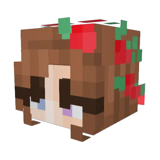 ShySpy00 Minecraft avatar head, 3D render