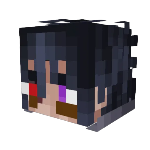 Shy_999 Minecraft avatar head, 3D render