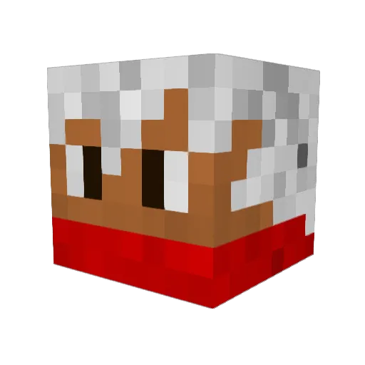 Shy__Guy Minecraft avatar head, 3D render