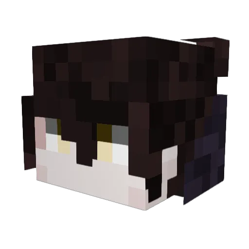 Shybah3000 Minecraft avatar head, 3D render
