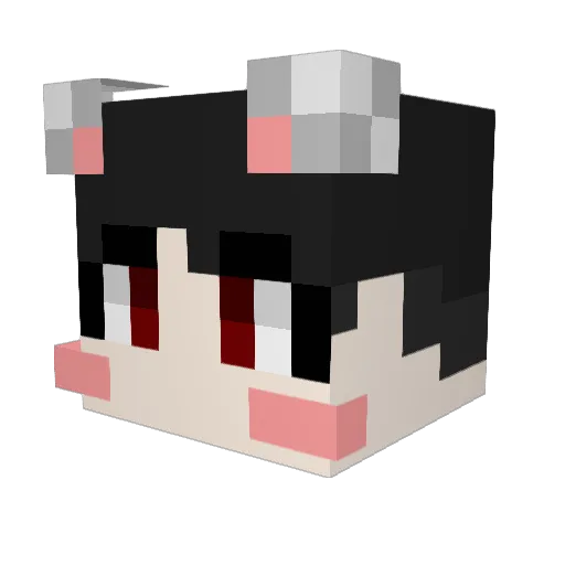 Shyeonpenguin Minecraft avatar head, 3D render