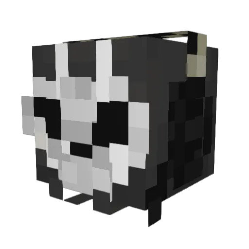 Shyfox_250 Minecraft avatar head, 3D render
