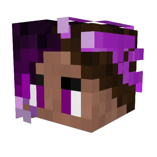 Shyines Minecraft avatar head, 3D render