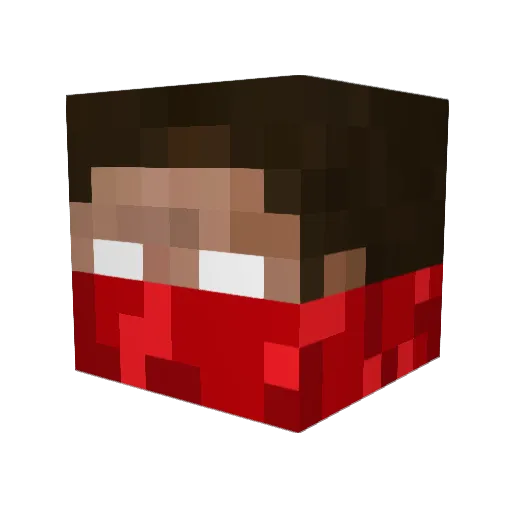 ShynEXQ Minecraft avatar head, 3D render