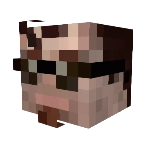 Shyshrewdbirds Minecraft avatar head, 3D render
