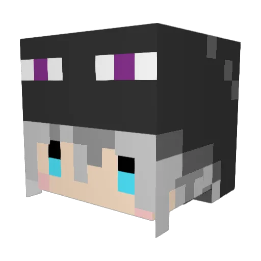 Si0Nera3654 Minecraft avatar head, 3D render