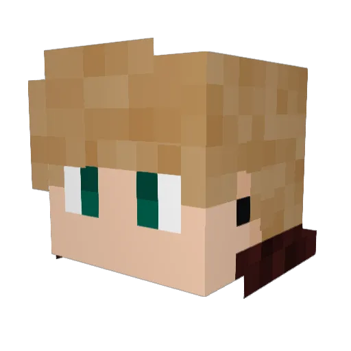 Si1entAssass1n Minecraft avatar head, 3D render