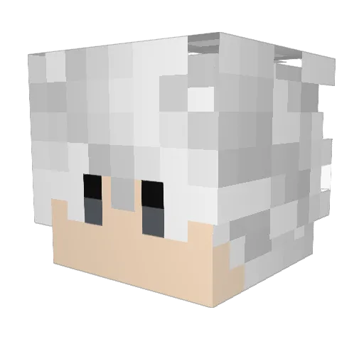 SiIverfish Minecraft avatar head, 3D render