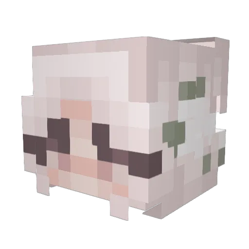 SiLverWing66 Minecraft avatar head, 3D render