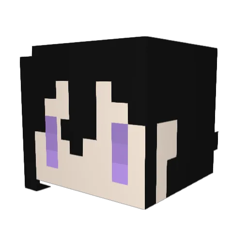 SiN_xx Minecraft avatar head, 3D render