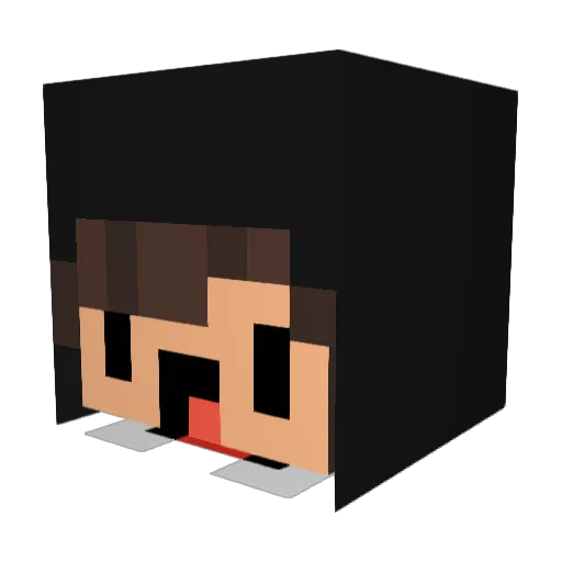 SiNi896 Minecraft avatar head, 3D render