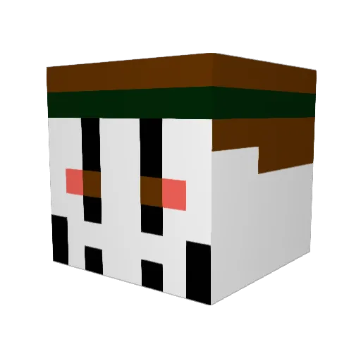 SiNiSTERdad Minecraft avatar head, 3D render