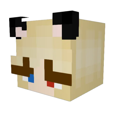 SiS0Ter Minecraft avatar head, 3D render