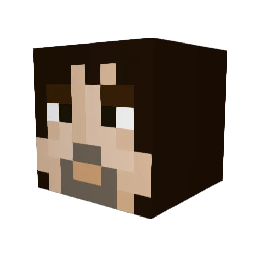 SiSenior12 Minecraft avatar head, 3D render