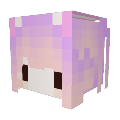 SiSi_0x0 Minecraft avatar head, 3D render
