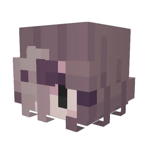 Si_Guy_45 Minecraft avatar head, 3D render
