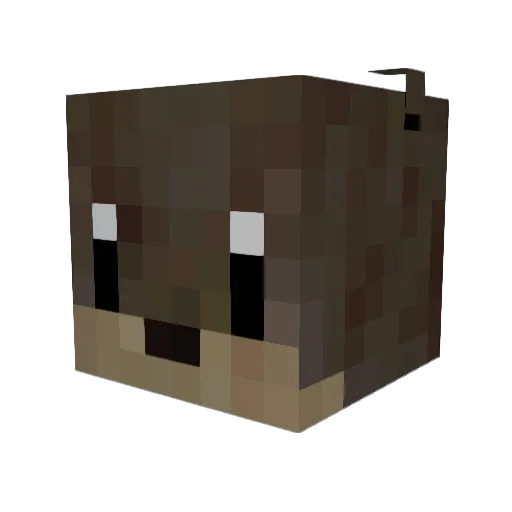 Siana07 Minecraft avatar head, 3D render