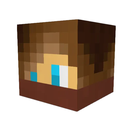 Siananas Minecraft avatar head, 3D render