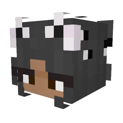 Sianb3771 Minecraft avatar head, 3D render