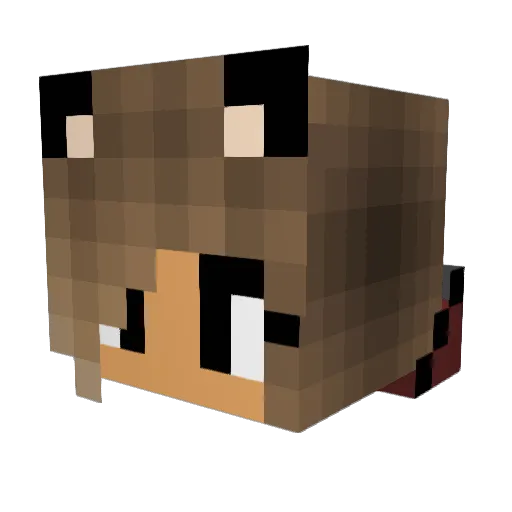 Sianmc12 Minecraft avatar head, 3D render