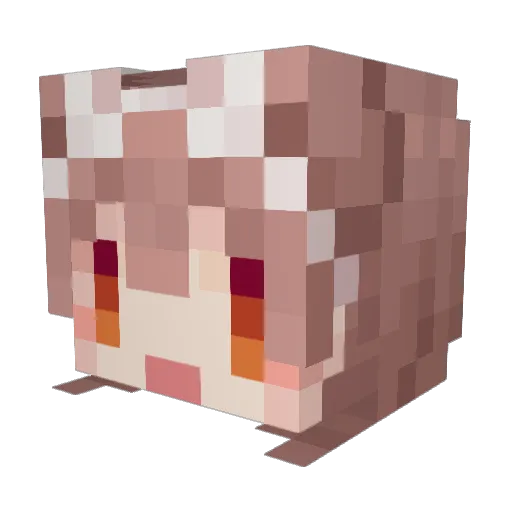 SiaoLinTw Minecraft avatar head, 3D render