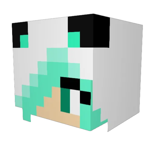 Sibanelly Minecraft avatar head, 3D render