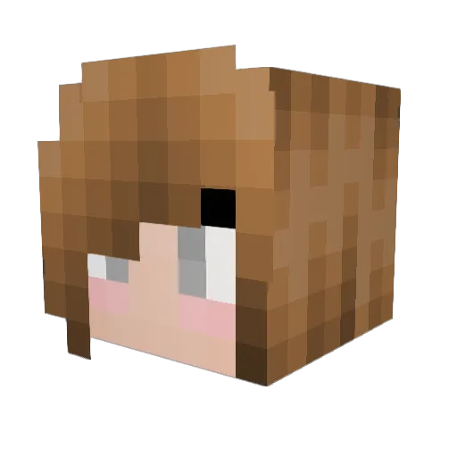Siberian142 Minecraft avatar head, 3D render