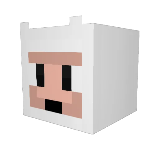 Sibiwan Minecraft avatar head, 3D render