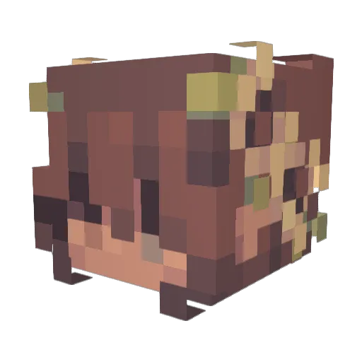SibleyStreet14 Minecraft avatar head, 3D render