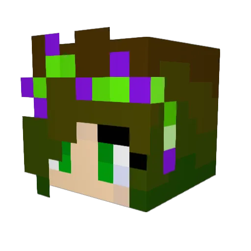 SiblingSplash Minecraft avatar head, 3D render