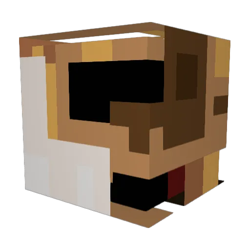 Siblings2OfUs Minecraft avatar head, 3D render