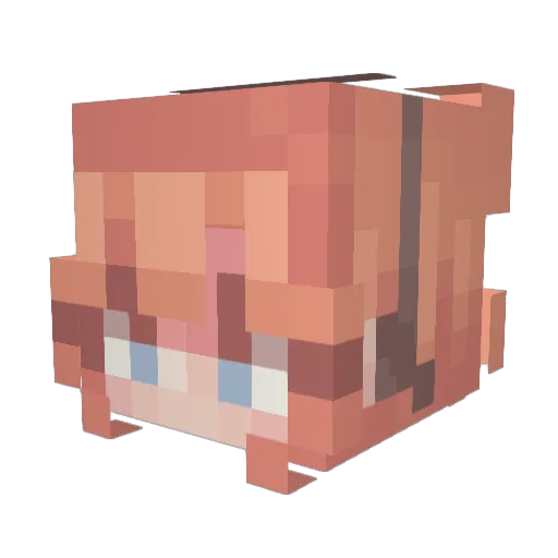 Sicafoose Minecraft avatar head, 3D render