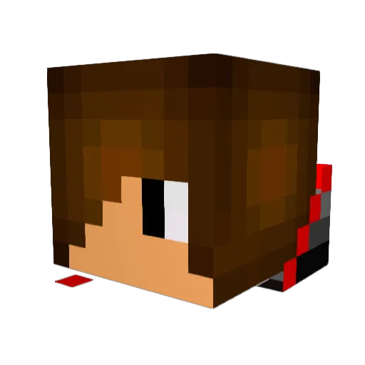 SicariusAssassin Minecraft avatar head, 3D render