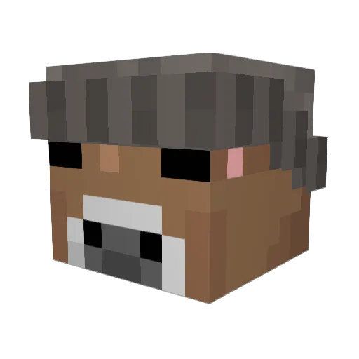 SickCrom Minecraft avatar head, 3D render
