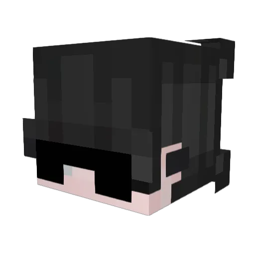SickJohn41 Minecraft avatar head, 3D render