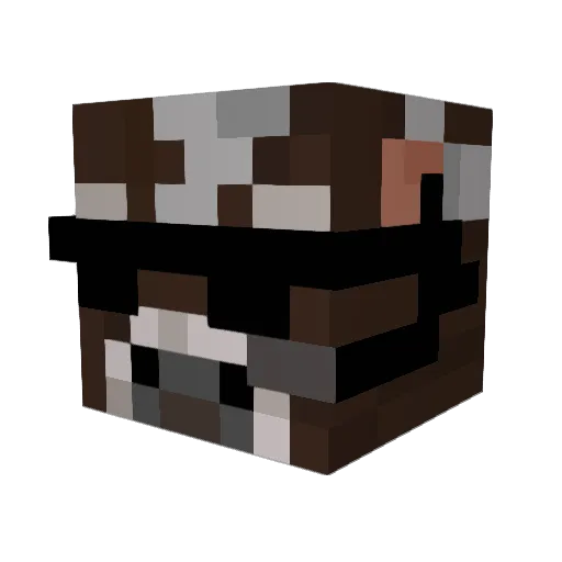 SickNutsBro Minecraft avatar head, 3D render