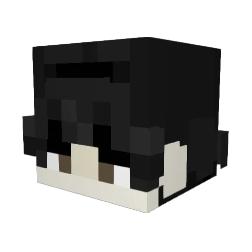 SickTrog Minecraft avatar head, 3D render
