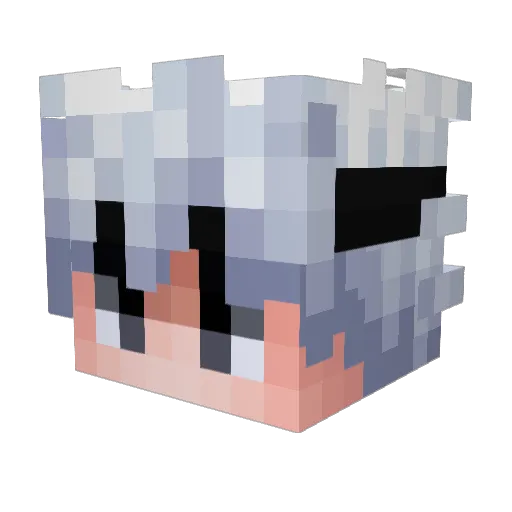 SickWifi Minecraft avatar head, 3D render